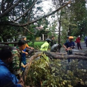 TANGGAP DARURAT BENCANA ANGIN KENCANG