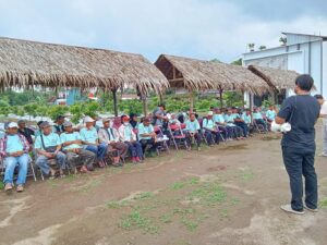 STUDY BUDIDAYA CABAI GAPOKTAN SUMBER RUKUN